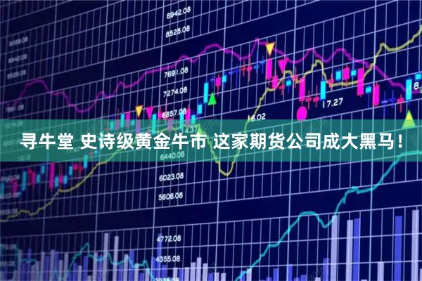 寻牛堂 史诗级黄金牛市 这家期货公司成大黑马！
