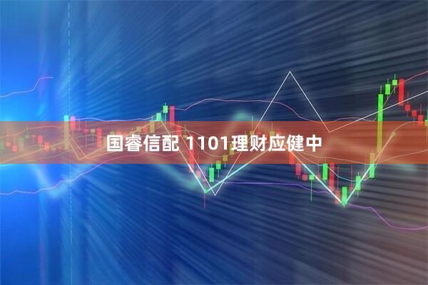 国睿信配 1101理财应健中