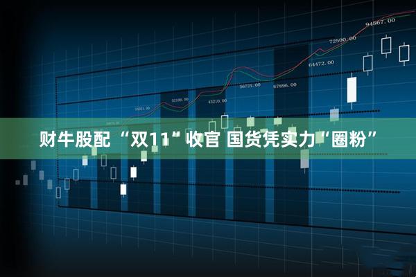 财牛股配 “双11”收官 国货凭实力“圈粉”