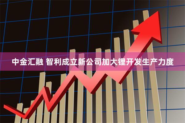 中金汇融 智利成立新公司加大锂开发生产力度